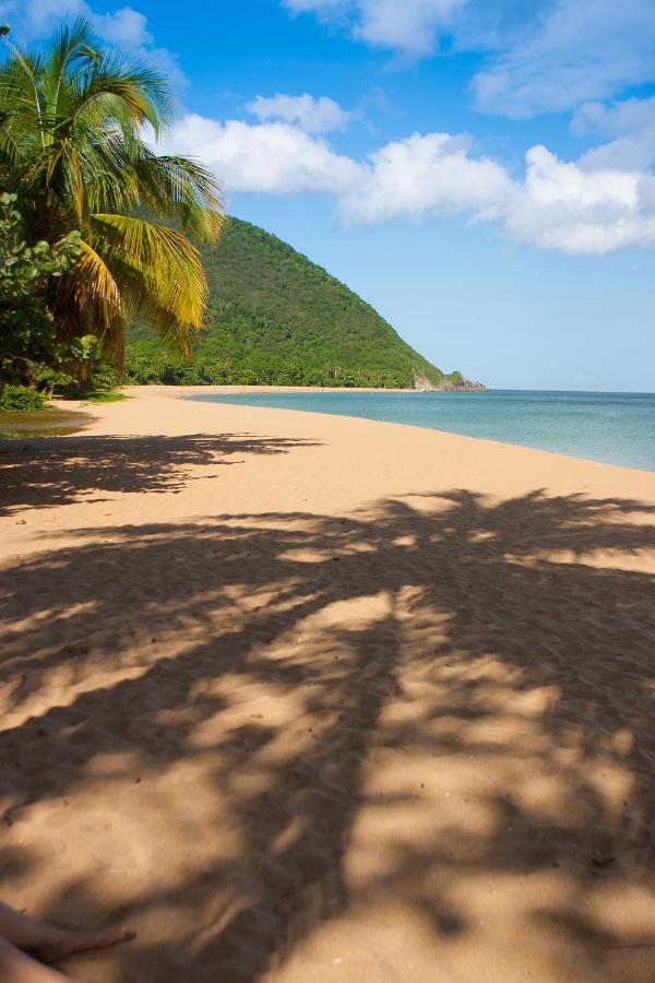 Lodge Coco Deshaies Buitenkant foto